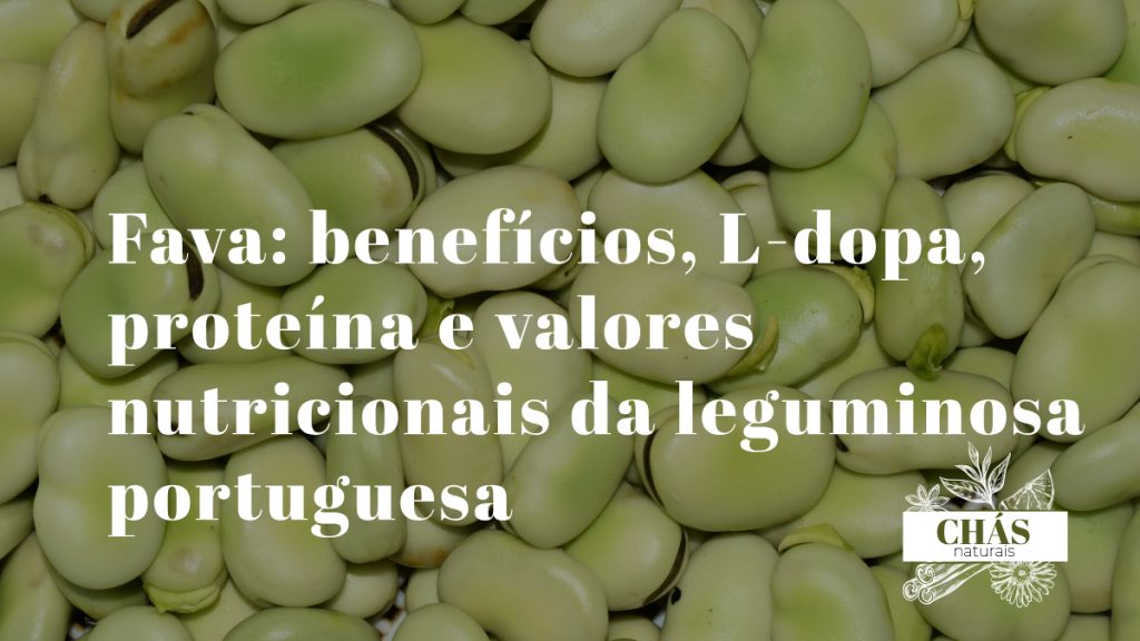 favas frescas verdes com e sem película sobre superfície de pedra rústica