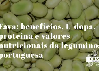 favas frescas verdes com e sem película sobre superfície de pedra rústica