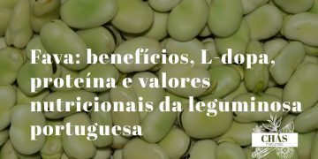 favas frescas verdes com e sem película sobre superfície de pedra rústica