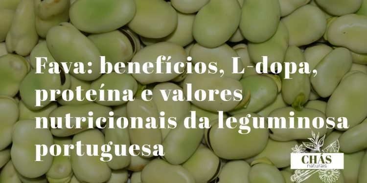 favas frescas verdes com e sem película sobre superfície de pedra rústica