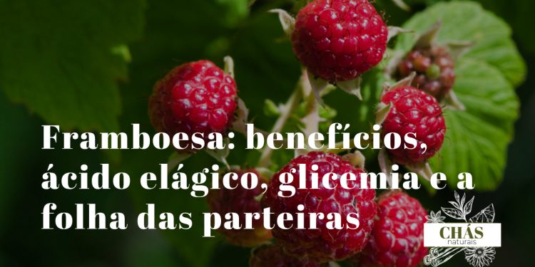 framboesa benefícios — framboesas vermelho-rosadas Rubus idaeus ricas em ácido elágico e fibra
