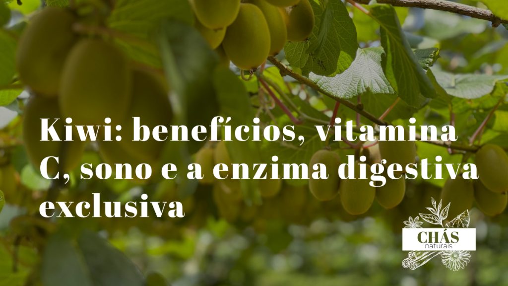 kiwi benefícios — kiwis verdes cortados Actinidia deliciosa com polpa rica em vitamina C e actinidina