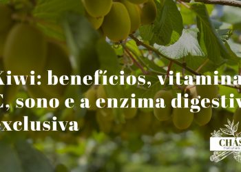 kiwi benefícios — kiwis verdes cortados Actinidia deliciosa com polpa rica em vitamina C e actinidina