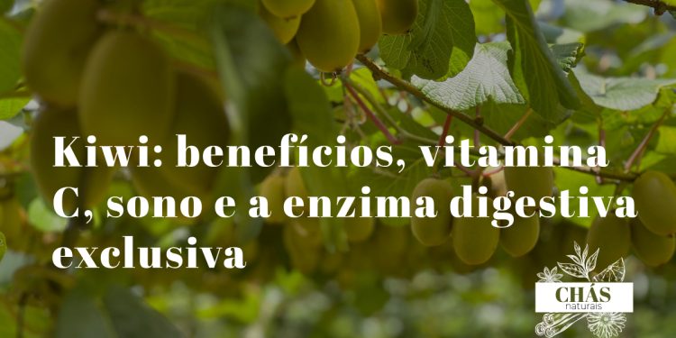 kiwi benefícios — kiwis verdes cortados Actinidia deliciosa com polpa rica em vitamina C e actinidina