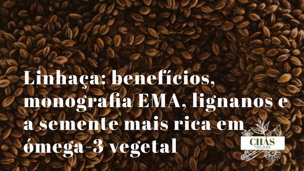 linhaça benefícios — sementes de linhaça dourada Linum usitatissimum com semente moída e óleo de linhaça