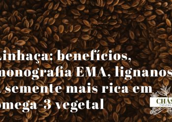 linhaça benefícios — sementes de linhaça dourada Linum usitatissimum com semente moída e óleo de linhaça