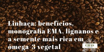 linhaça benefícios — sementes de linhaça dourada Linum usitatissimum com semente moída e óleo de linhaça