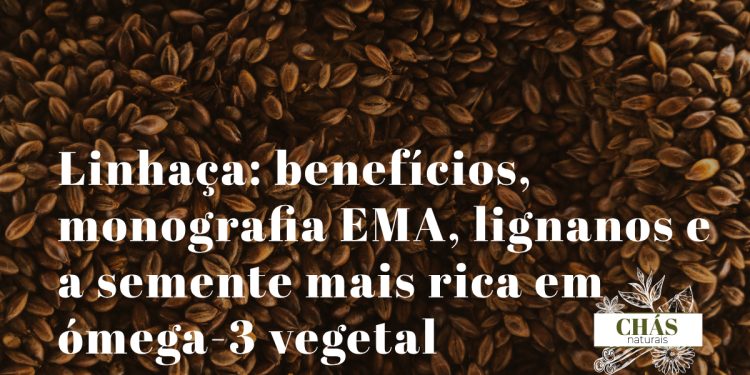 linhaça benefícios — sementes de linhaça dourada Linum usitatissimum com semente moída e óleo de linhaça