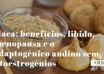 maca benefícios — raízes secas de Lepidium meyenii maca andina cultivada a 4000 metros de altitude no Peru