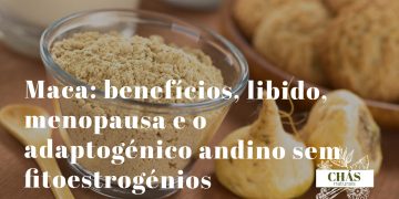 maca benefícios — raízes secas de Lepidium meyenii maca andina cultivada a 4000 metros de altitude no Peru