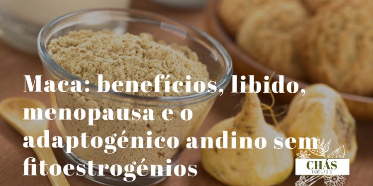maca benefícios — raízes secas de Lepidium meyenii maca andina cultivada a 4000 metros de altitude no Peru
