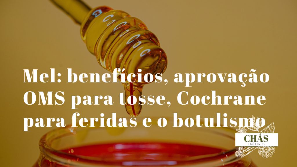 mel benefícios — mel de Manuka dourado em frasco de vidro produto apícola cicatrizante aprovado pela OMS