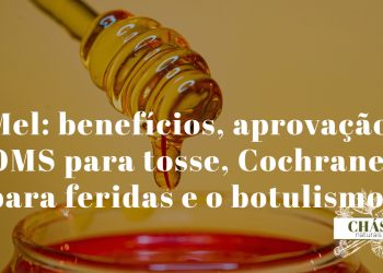 mel benefícios — mel de Manuka dourado em frasco de vidro produto apícola cicatrizante aprovado pela OMS