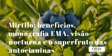 mirtilo benefícios — frutos azul-violeta de Vaccinium myrtillus superfruto europeu com antocianinas e monografia EMA