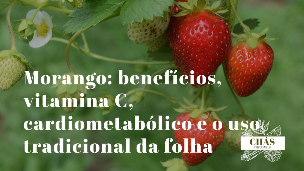 morango benefícios — morangos vermelhos frescos Fragaria com folhas verdes ricos em vitamina C e antocianinas