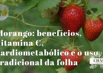 morango benefícios — morangos vermelhos frescos Fragaria com folhas verdes ricos em vitamina C e antocianinas