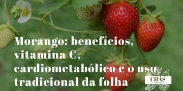 morango benefícios — morangos vermelhos frescos Fragaria com folhas verdes ricos em vitamina C e antocianinas