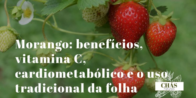 morango benefícios — morangos vermelhos frescos Fragaria com folhas verdes ricos em vitamina C e antocianinas