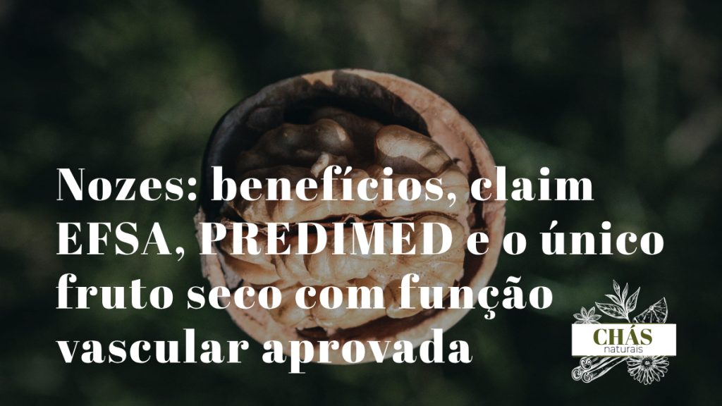 nozes benefícios — nozes portuguesas Juglans regia abertas com pele castanha intacta ricas em ómega-3 e polifenóis
