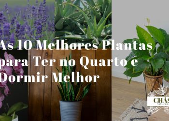 plantas para o quarto e dormir melhor — lavanda, aloe vera e lírio da paz numa cabeceira de cama com luz suave