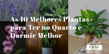 plantas para o quarto e dormir melhor — lavanda, aloe vera e lírio da paz numa cabeceira de cama com luz suave
