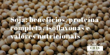 grãos de soja dourados e edamame verde fresco em taças sobre superfície de madeira