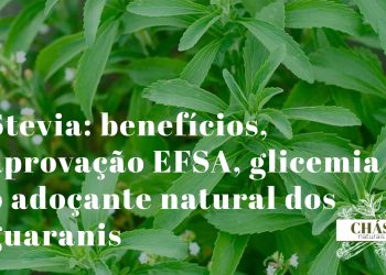 stevia benefícios — folhas verdes de Stevia rebaudiana planta adoçante natural aprovada pela EFSA como aditivo seguro
