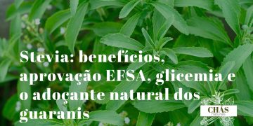stevia benefícios — folhas verdes de Stevia rebaudiana planta adoçante natural aprovada pela EFSA como aditivo seguro