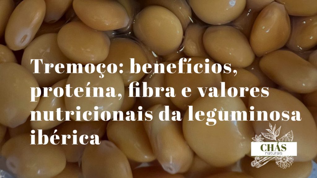 tremoços brancos em salmoura em tigela de barro típica portuguesa