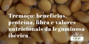 tremoços brancos em salmoura em tigela de barro típica portuguesa
