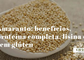 Amaranto: benefícios, proteína completa, lisina e sem glúten