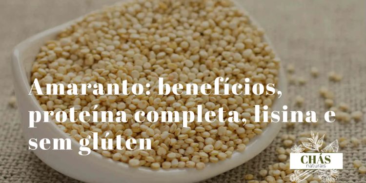 Amaranto: benefícios, proteína completa, lisina e sem glúten