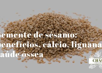 Semente de sésamo: benefícios, cálcio, lignanas e saúde óssea