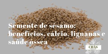 Semente de sésamo: benefícios, cálcio, lignanas e saúde óssea