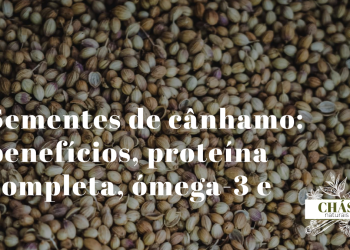 Sementes de cânhamo: benefícios, proteína completa, ómega-3 e ómega-6