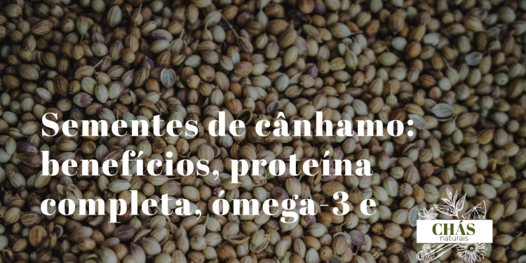 Sementes de cânhamo: benefícios, proteína completa, ómega-3 e ómega-6