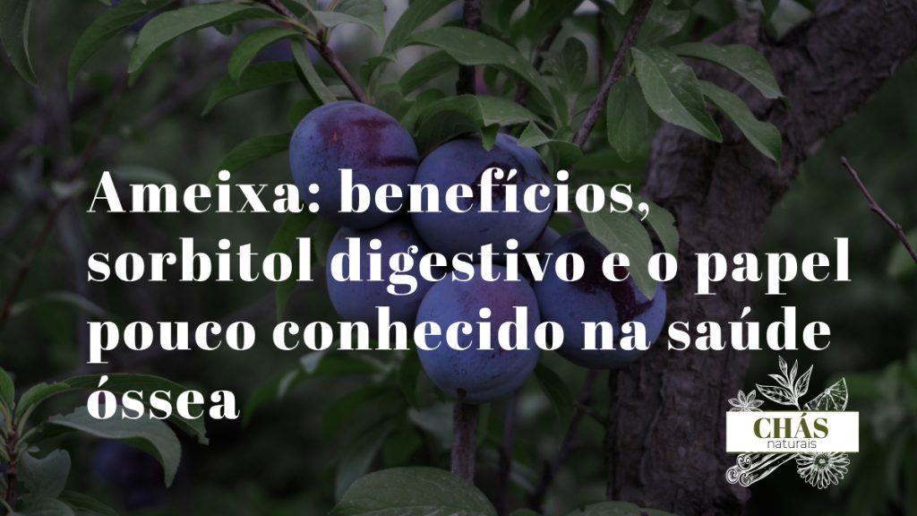 ameixa benefícios — ameixas roxas frescas e secas Prunus domestica ricas em sorbitol