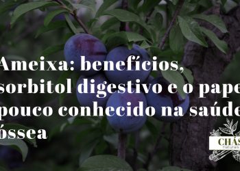ameixa benefícios — ameixas roxas frescas e secas Prunus domestica ricas em sorbitol