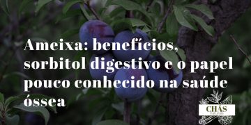 ameixa benefícios — ameixas roxas frescas e secas Prunus domestica ricas em sorbitol