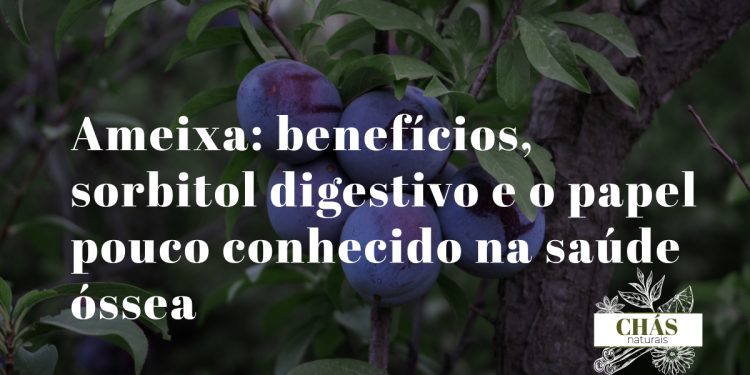 ameixa benefícios — ameixas roxas frescas e secas Prunus domestica ricas em sorbitol