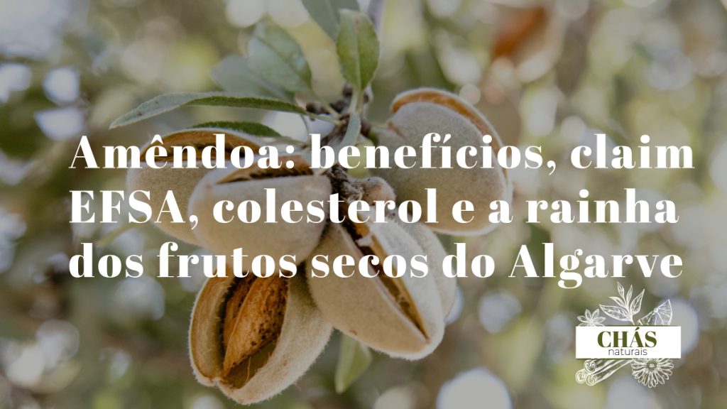 amêndoa benefícios — amêndoas Prunus dulcis com pele castanha ricas em vitamina E e ácido oleico