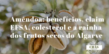 amêndoa benefícios — amêndoas Prunus dulcis com pele castanha ricas em vitamina E e ácido oleico