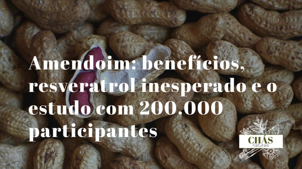 amendoim benefícios — amendoins Arachis hypogaea ricos em resveratrol e proteína vegetal elevada