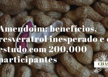 amendoim benefícios — amendoins Arachis hypogaea ricos em resveratrol e proteína vegetal elevada
