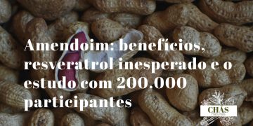 amendoim benefícios — amendoins Arachis hypogaea ricos em resveratrol e proteína vegetal elevada