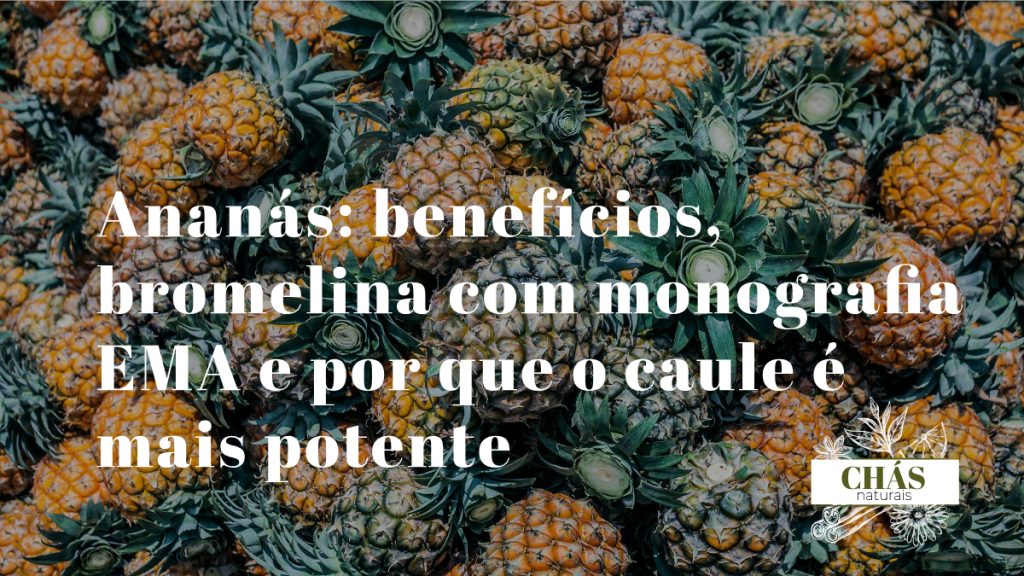 ananás benefícios — ananás fresco Ananas comosus com caule rico em bromelina anti-inflamatória com monografia EMA