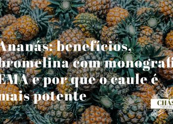 ananás benefícios — ananás fresco Ananas comosus com caule rico em bromelina anti-inflamatória com monografia EMA
