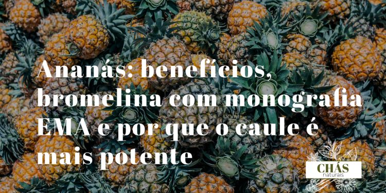 ananás benefícios — ananás fresco Ananas comosus com caule rico em bromelina anti-inflamatória com monografia EMA