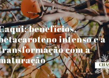 caqui benefícios — caquis maduros laranja Diospyros kaki ricos em betacaroteno
