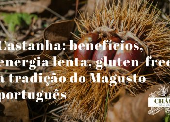 castanha benefícios — castanhas Castanea sativa assadas no Magusto ricas em hidratos de carbono complexos